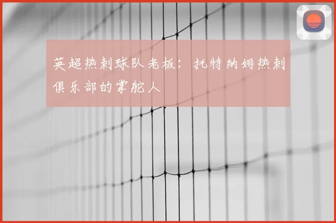 英超热刺球队老板：托特纳姆热刺俱乐部的掌舵人