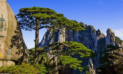 團建|魅力初秋，歡歌同行 -2019鑫創(chuàng)夏令營